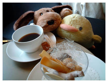 ������܂���