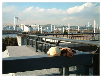 �͂����܂���...�͂����I