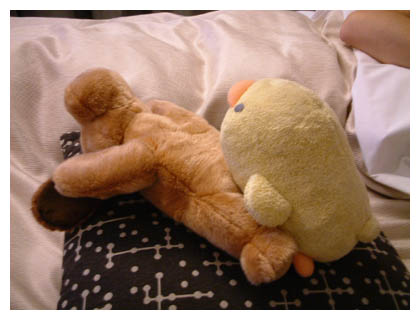 ����[�܂���