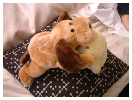 ����[�܂���