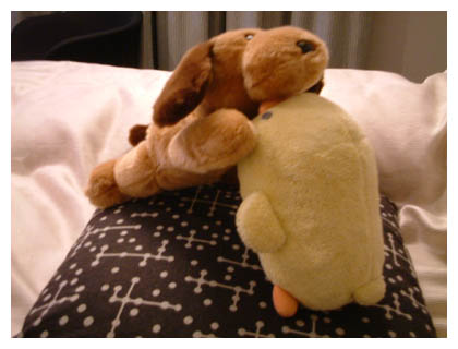 ����[�ɂ܂���