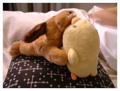 ����[����܂���