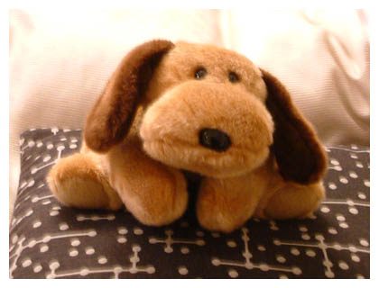 ����[���܂���