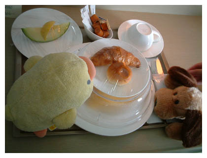 ����[�낭�܂���