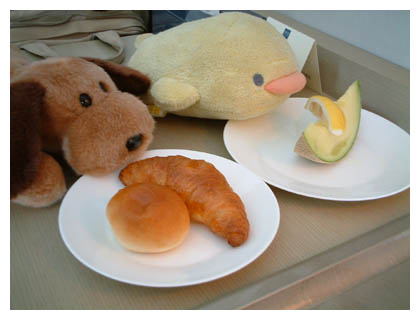 ����[����[�܂���