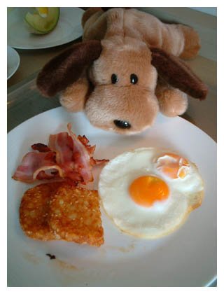 �ɂ���܂���