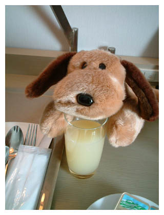 �ɂ��ア���܂���