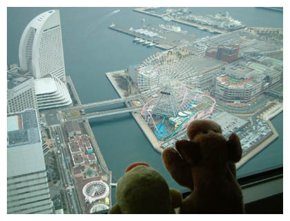 �ɂ���ɂ܂���