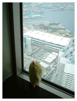 �ɂ��ゲ�܂���